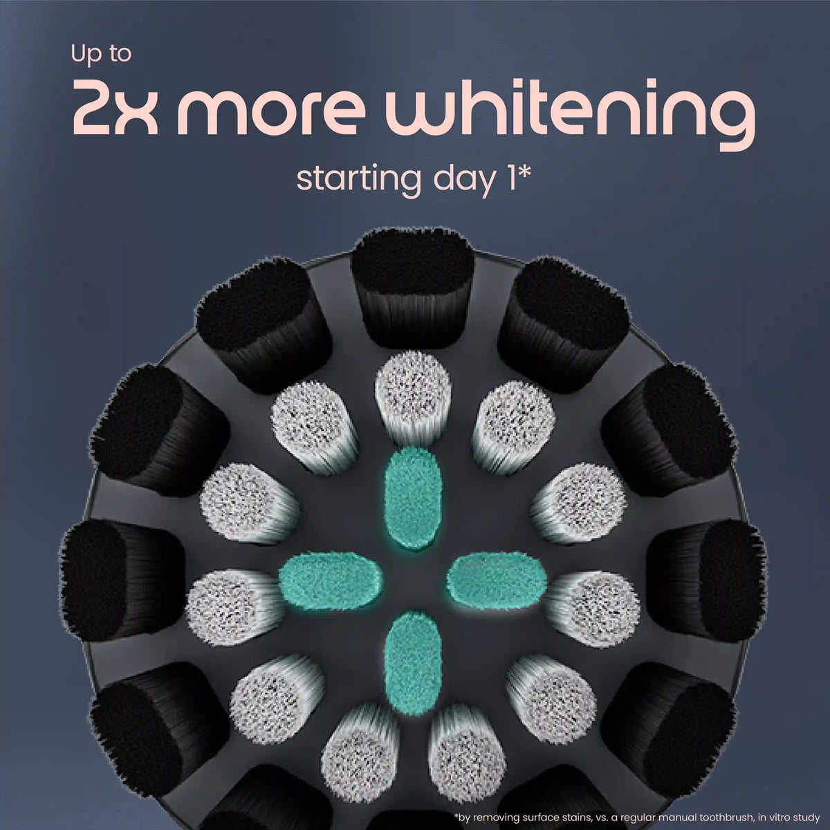 Rev Oscillating Toothbrush