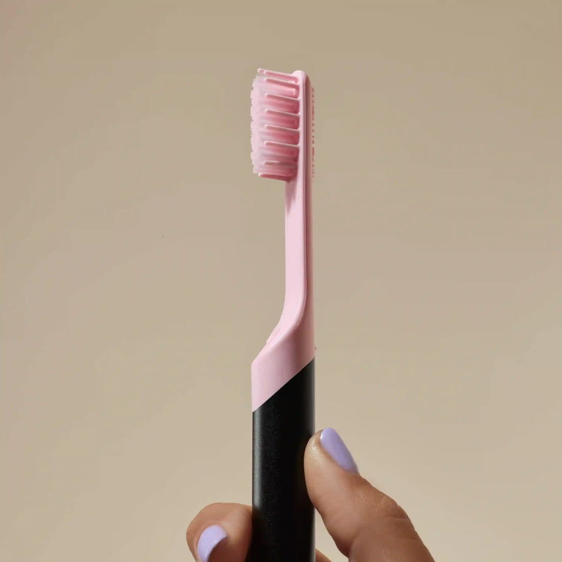 Standard Soft Brush Head Refill