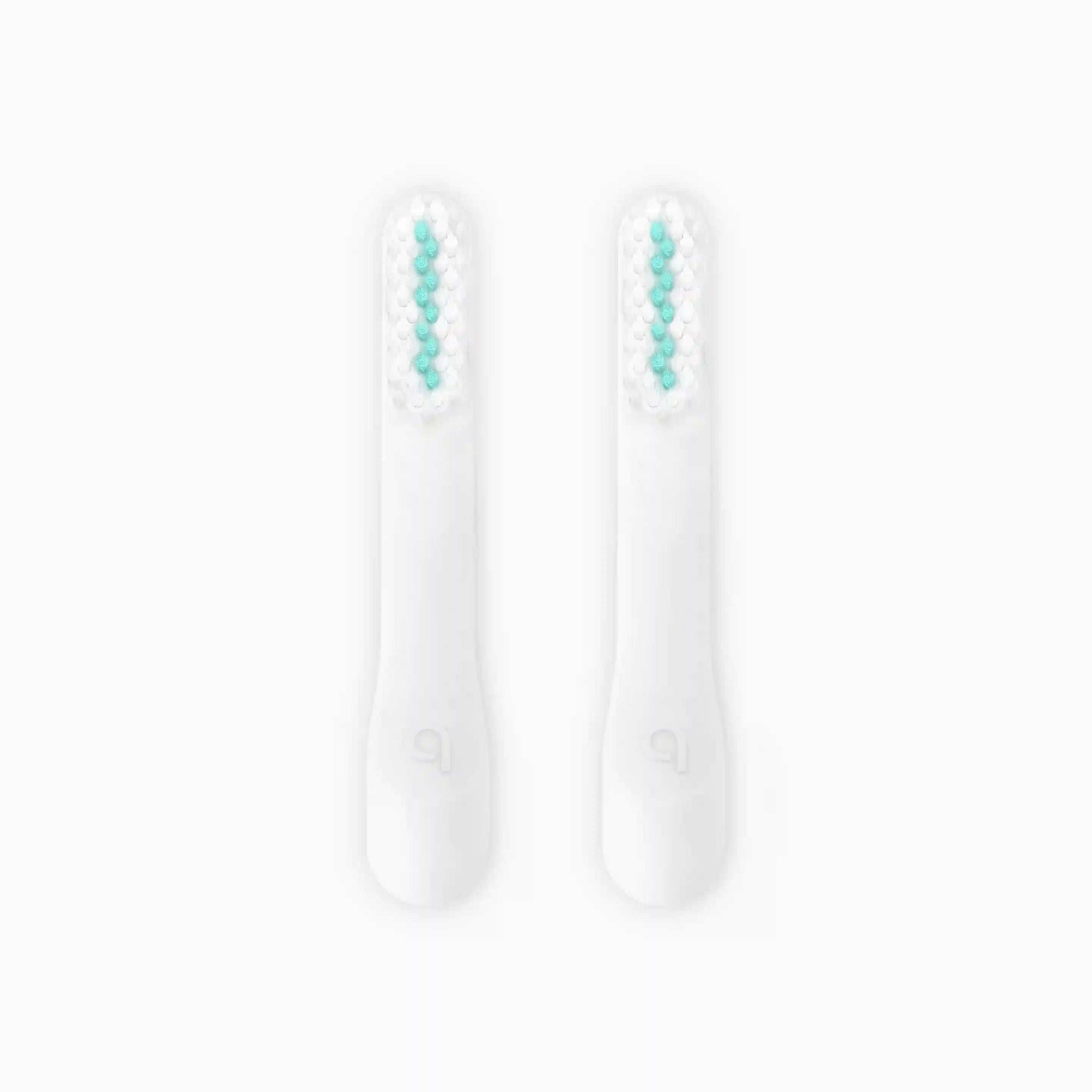 Standard Soft Brush Head Refill